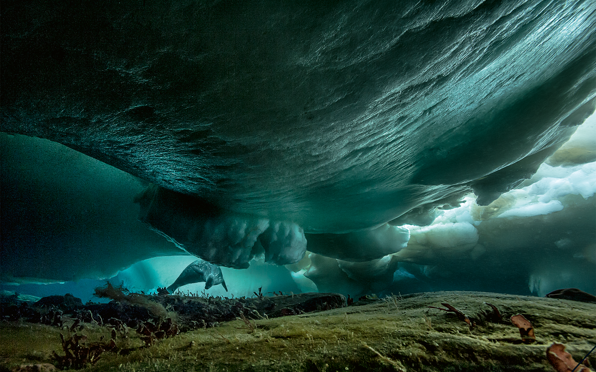 GOMBESSA III EXPEDITION