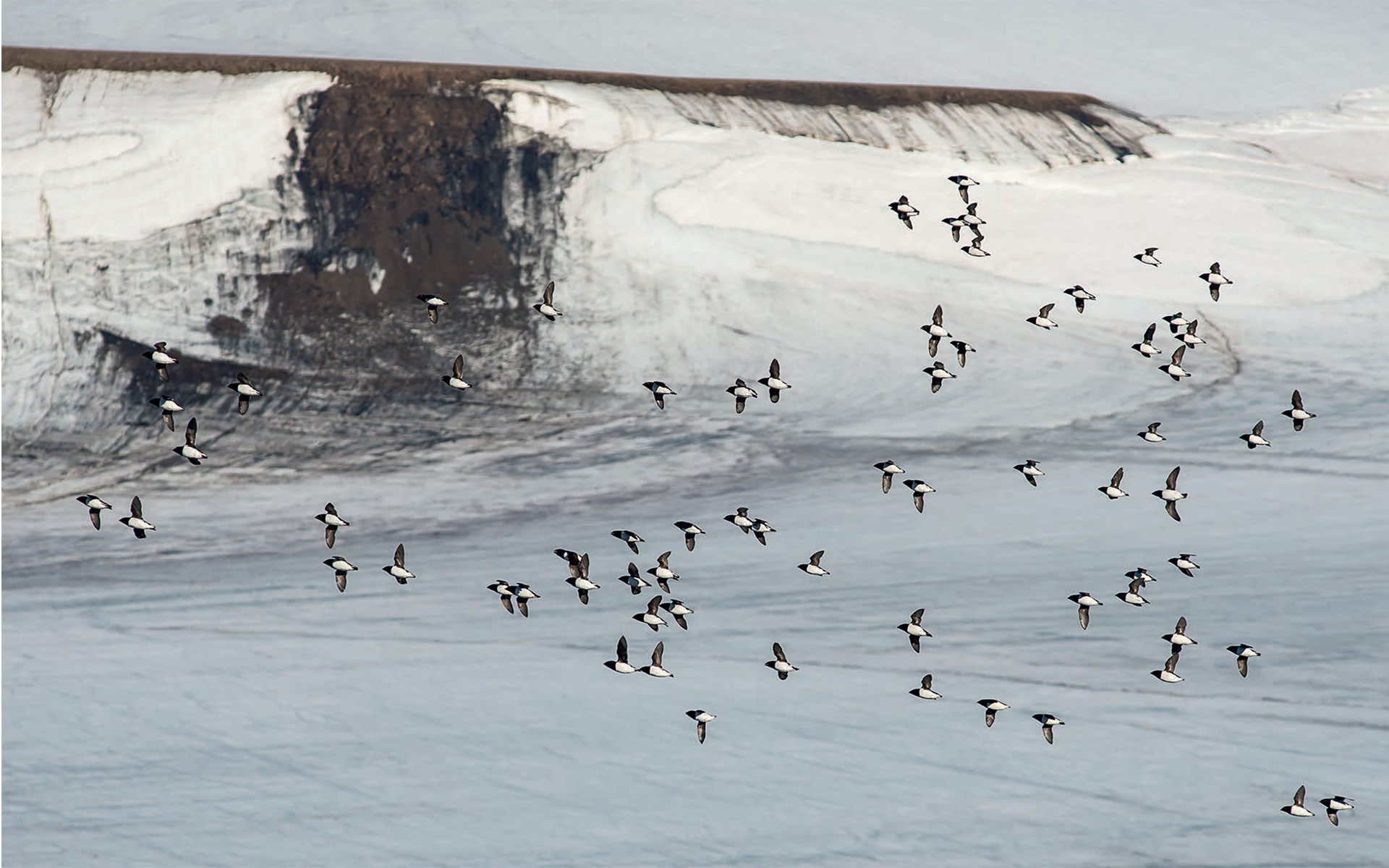 FRANZ JOSEF LAND