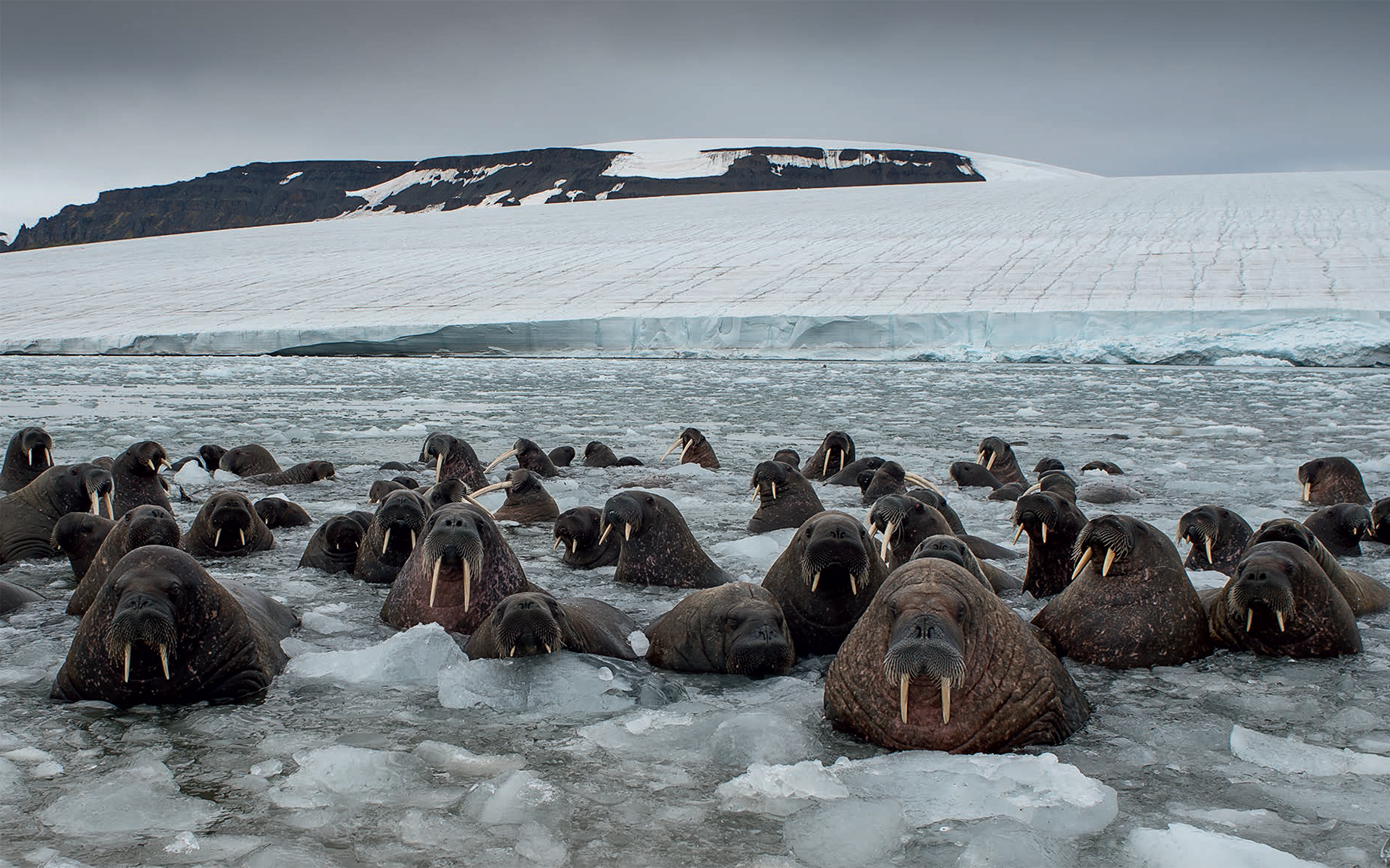 FRANZ JOSEF LAND