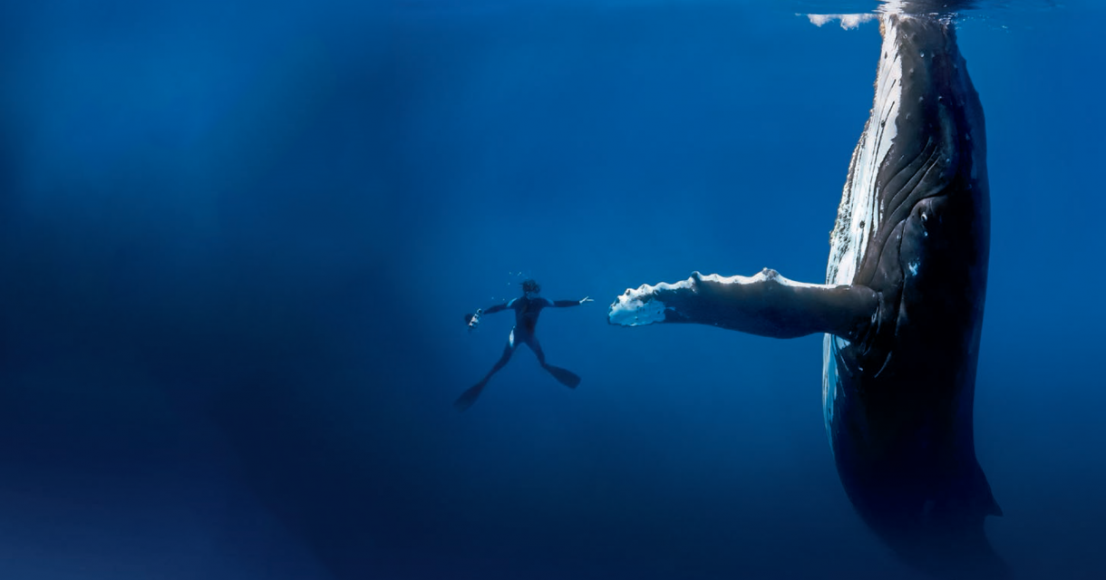 Blancpain OCEAN COMMITMENT