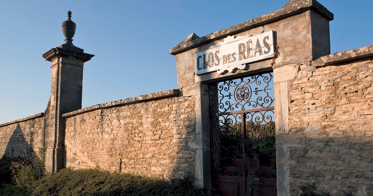 Seven generations in VOSNE-ROMANÉE