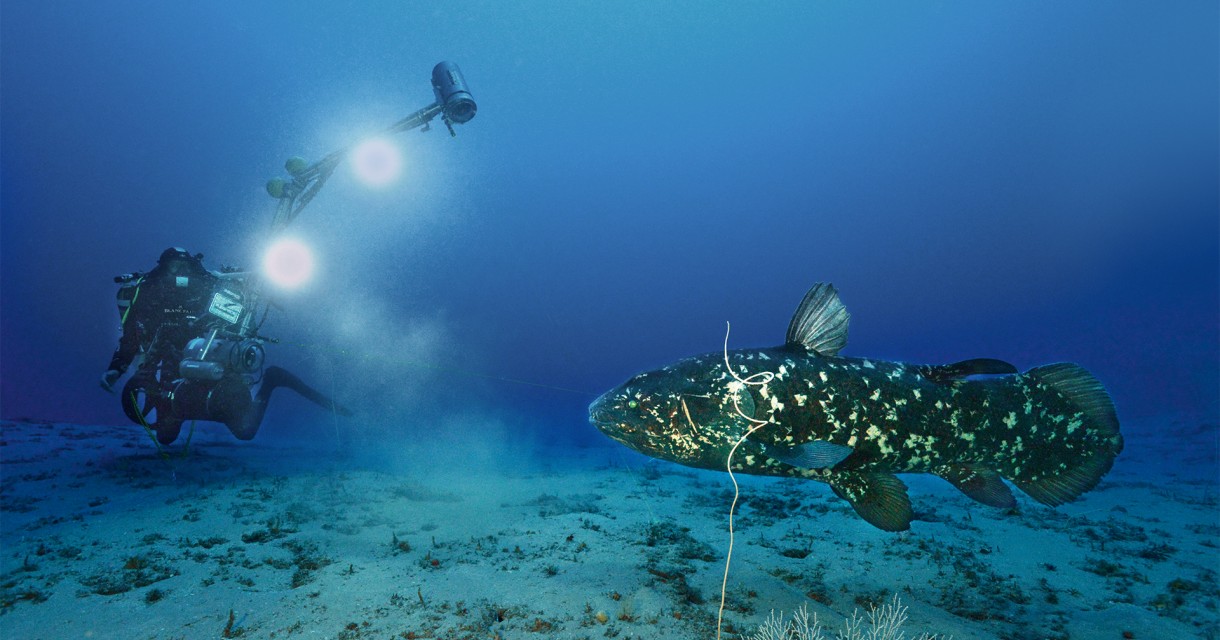 Gombessa THE FISH THAT DEFIES Time