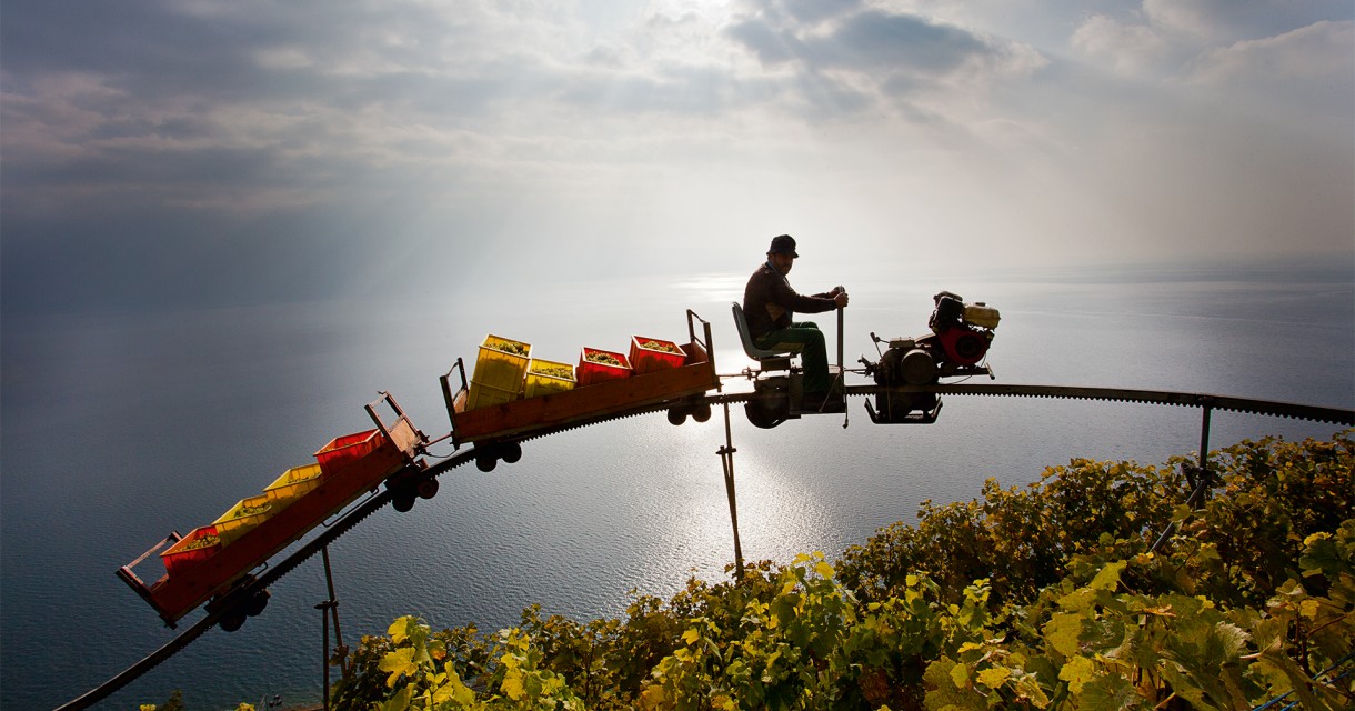 DÉZALEY and the LAVAUX