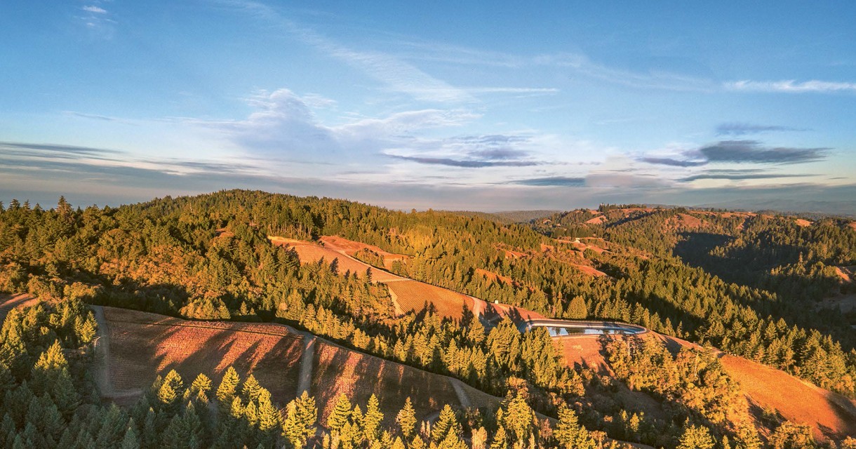 Peter Michael WINERY