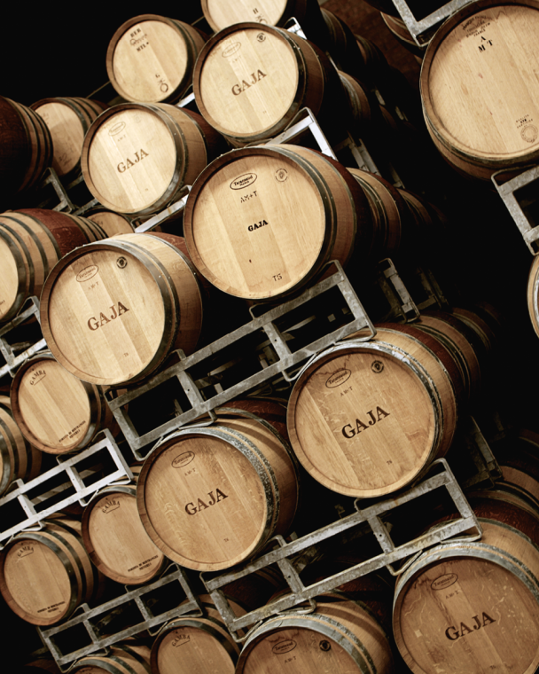 GAJA WINE