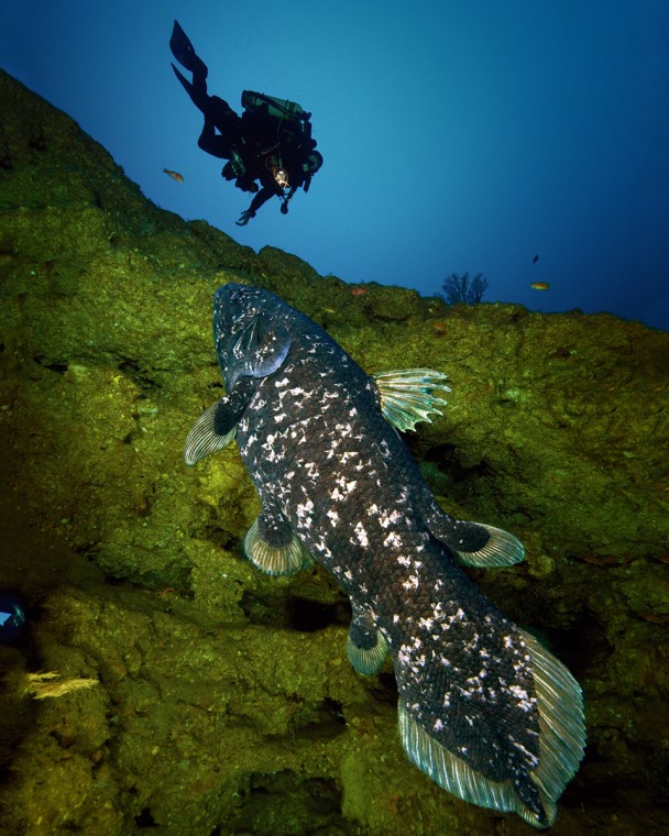 Expedition GOMBESSA