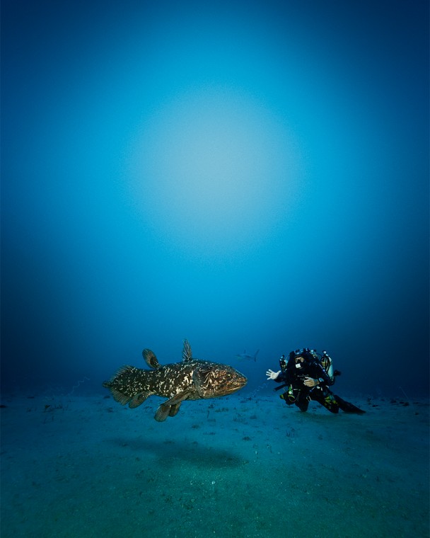 Expedition GOMBESSA