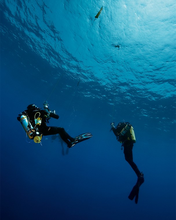 Expedition GOMBESSA