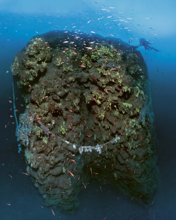 The dome with cave sponges, Rade d'Agay - 90 m.
