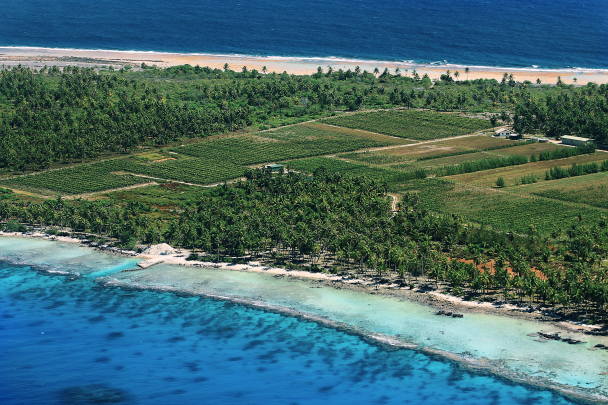 Aerial view of the vineyard.

