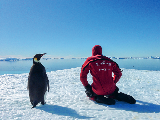 Laurent Ballesta during the Gombessa 3 expedition to Antarctica.
