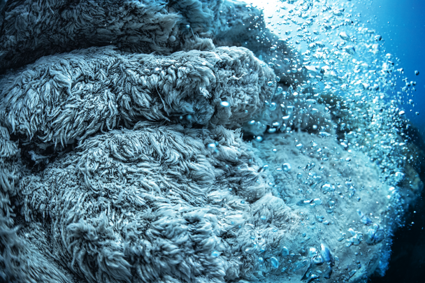 Here and there, acidic bubbles escape from the bottom of the sea around the island of Panarea. Nothing can live in contact with these acidic and sulphurous waters. Only anaerobic bacteria seem to flourish, forming a white felt covering that undulates on the walls caressed by the bubbles.
