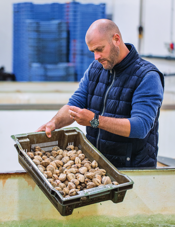 A morning inspection at the&nbsp;criée&nbsp;by chef Coutanceau of the day’s clam catch.
