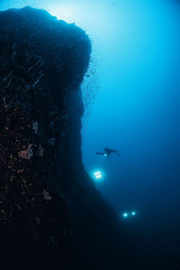 The slopes of Stromboli are brutal, carved by devastating eruptions.&nbsp;On the most vertical parts, life continues its work. Gorgonians start to colonise the area and fish flutter around, until a new eruption comes to destroy everything again.
