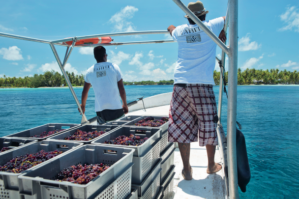TAHITI Wine