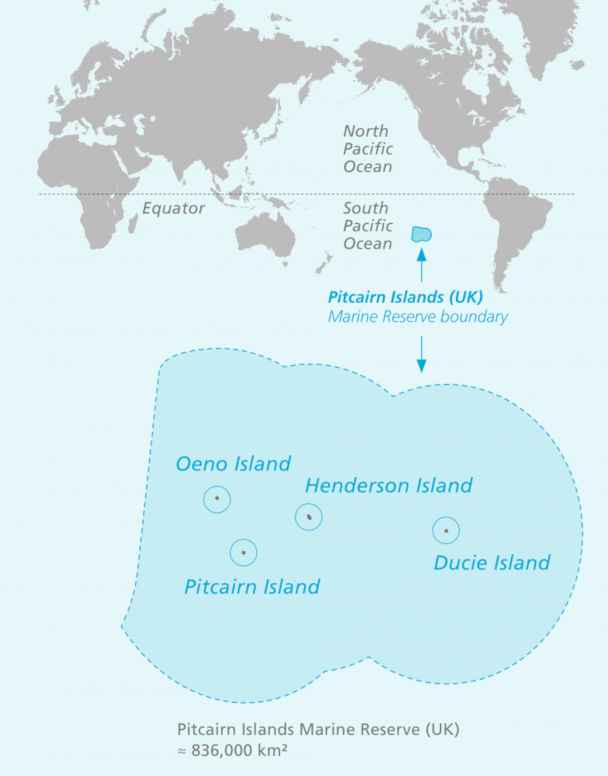 A graphic depiction of the Pitcairn Marine Reserve area resulting from the Pristine Seas expedition.

