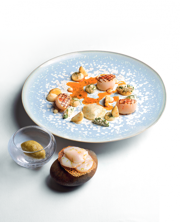 Three preparations of scallops: lightly grilled body, crisped foot, and carpaccio accented with lime.

