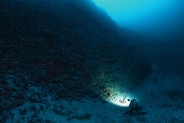 The ship’s anchor dropped in 105 metres of water, along a coral reef drop-off.
