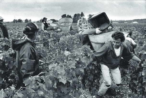 Château LAFITE ROTHSCHILD