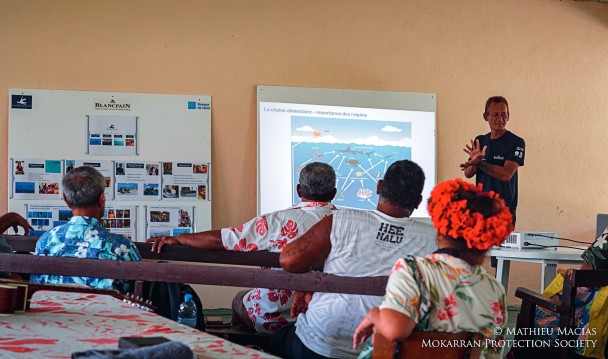 The MPS organises talks at schools and for the general public to raise awareness about the importance of sharks within the marine ecosystem.