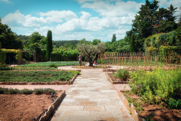The herb and vegetable garden. &nbsp;&nbsp;