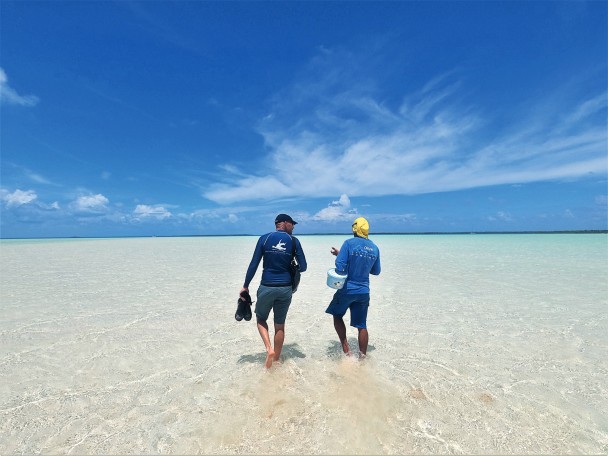 A chat with a Rangiroa resident to discuss his knowledge of the great hammerhead shark.