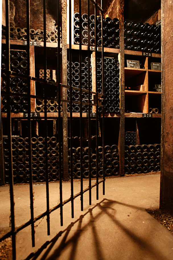 Domaine DUJAC