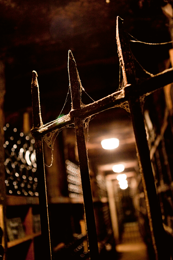 Domaine DUJAC