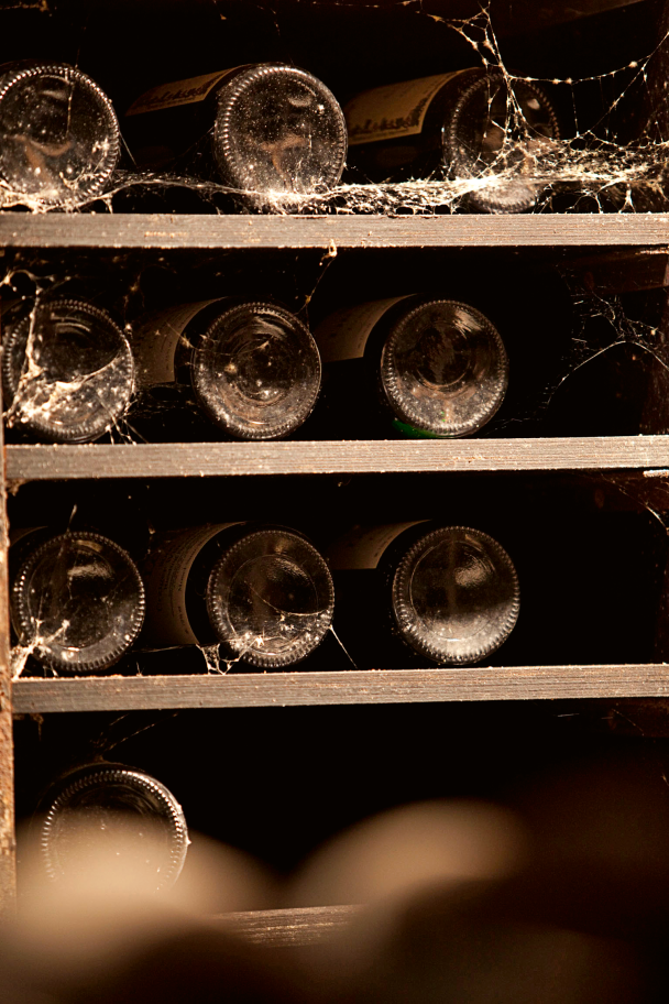 Domaine DUJAC