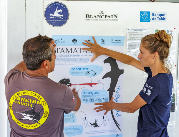 Putting up informative posters about the TAMATAROA programme.