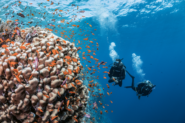 The PADI and Blancpain Partnership TURNS HOPE INTO ACTION