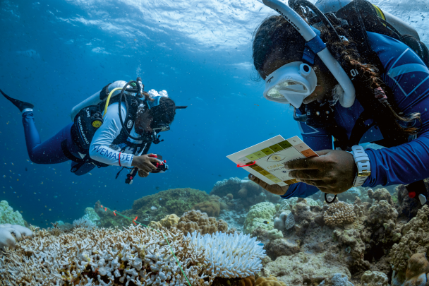 Divers document changes to coral reef health over time. &nbsp;