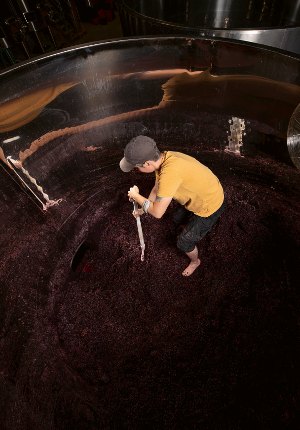 Domaine DUJAC
