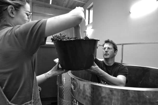 Domaine DUJAC