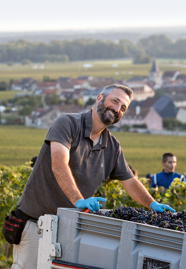 Domaine DUJAC