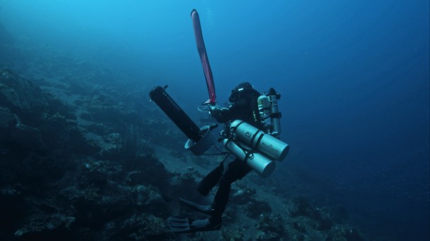 Face to Face with the Indonesian COELACANTH