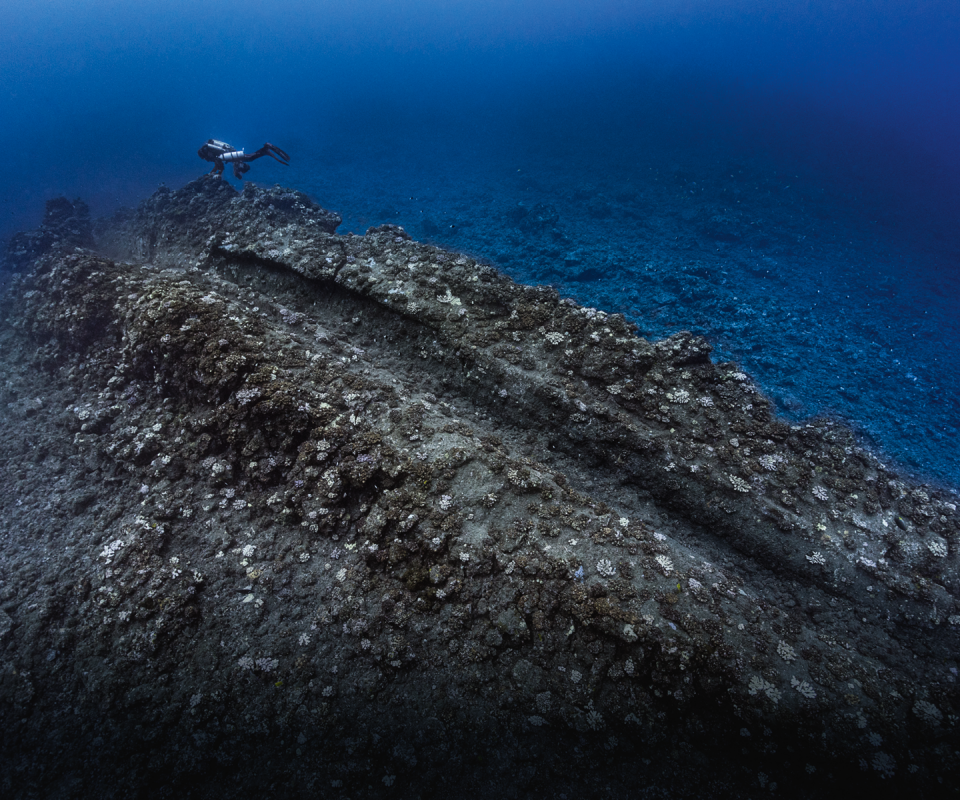 Near the surface, the lava tubes have already lost their roofs and all that remain are cylindrical shoots that corals such as Pocillopora are beginning to colonize.

