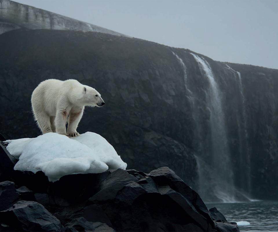 FRANZ JOSEF LAND