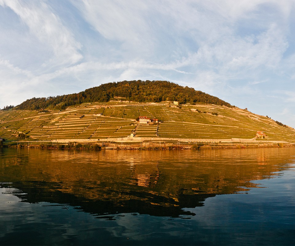 DÉZALEY and the LAVAUX