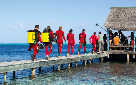 The full moon is finally here,&nbsp;the day that the groupers are supposed to reproduce. The team heads for the boat&nbsp;for the last dive of this long mission, mentally prepared for their four to six-hour stint under water.

