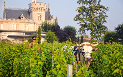 Bordeaux CHÂTEAU PAPE CLÉMENT