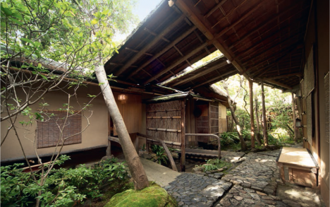 Modern JAPANESE CUISINE