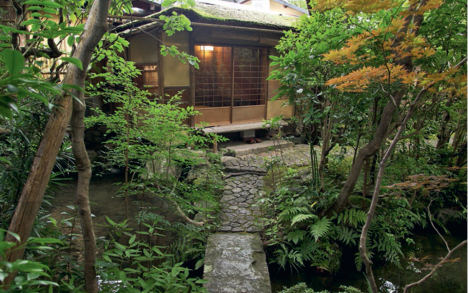 Modern JAPANESE CUISINE