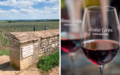 Seven generations in VOSNE-ROMANÉE