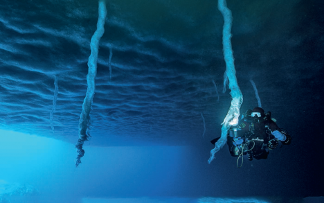 Ice fingers under the ice floe, La Baleine Island. Depth: 5 m.
