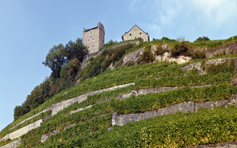 DÉZALEY and the LAVAUX