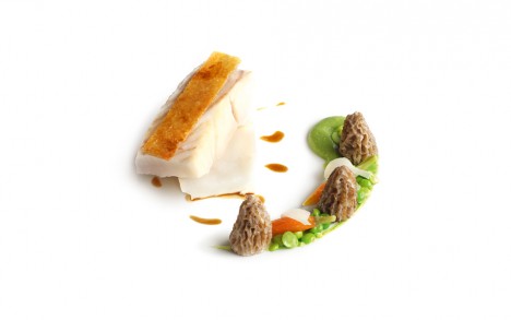 Le tronçon de turbot rôti, jeunes carottes et morilles fraîches, coques d’oignons glacés et jus des arêtes au vin de Syrah.
