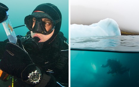 Franz Josef Land: the Pristine Russian Arctic