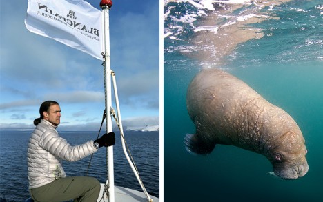 Franz Josef Land: the Pristine Russian Arctic