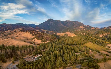 Mt. St. Helena towers over the Knights Valley vineyards.
